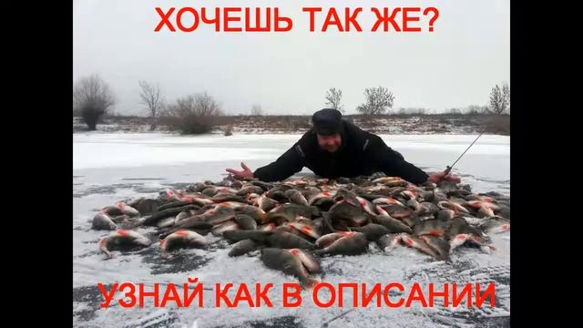 прикормка клево смотреть онлайн