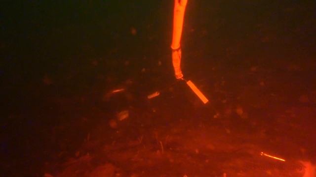 Камбала подводные съемки 50 метров Flounder 2020