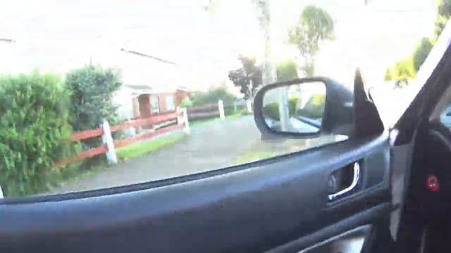 ПТЕНЕЦ ВЫПАЛ ИЗ ГНЕЗДА смотреть онлайн