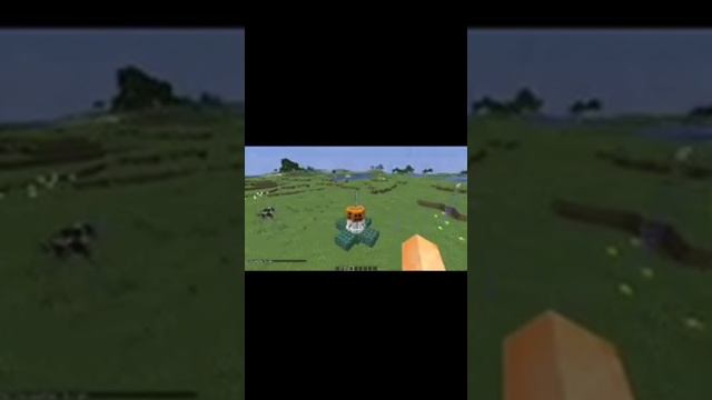 ЛАЙВХАК как защитить свою базу в майнкрафте