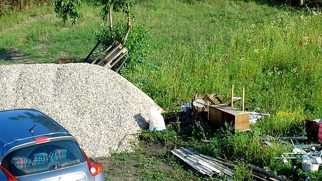 ПЯТИГОРСК...ЛИСА ПРИШЛА В ГОСТИ К НАМ НА ДАЧУ...28.07.19 смотреть онлайн