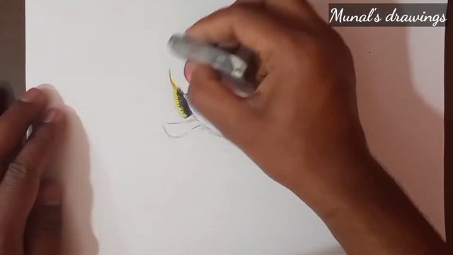 Disney's Finding Dory | Munal's Drawings | смотреть онлайн