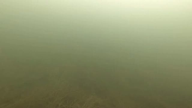 No luck Ice fishing смотреть онлайн