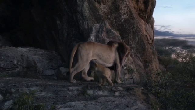 Король лев:Симба будит отца. ,,Пап,вставай!