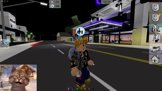 BIRTH to ZOMBIE to DEATH in Roblox Brookhaven RP (Story) смотреть онлайн