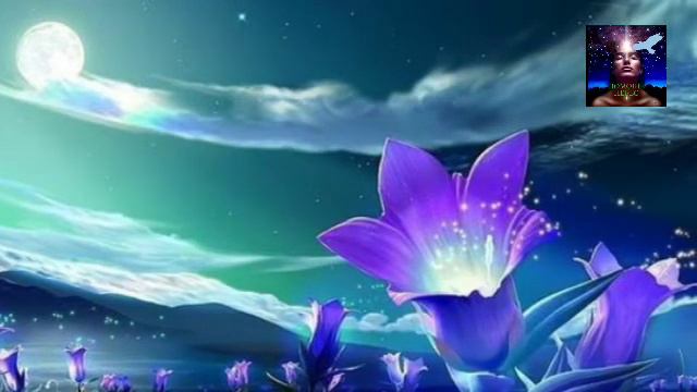 Время самоопределения в период приближения к порталу 11:11(ченнелинг)