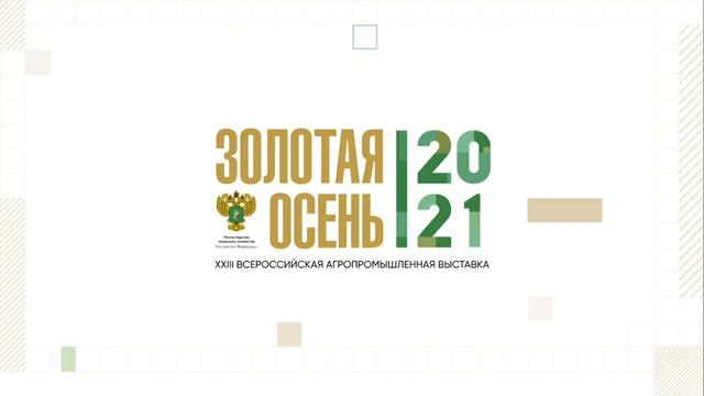 Прямая трансляция из зала C4, 06.10.2021, «Золотая осень 2021» смотреть онлайн
