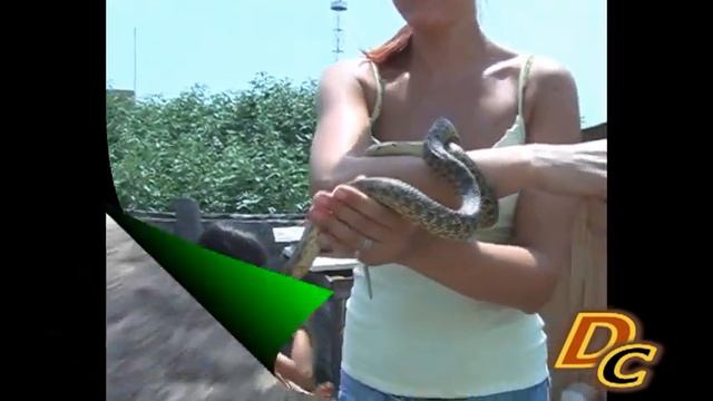 день рождения DC 2008 смотреть онлайн