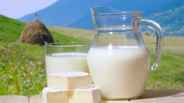 Внимание Бруцеллез смотреть онлайн