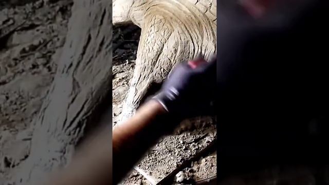 Вот что получилось из пенопласта древность какая смотреть онлайн