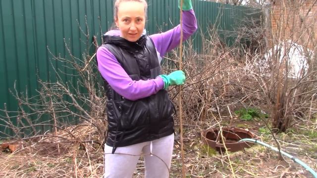 Танцую с Собакой и ВСЕ НЕПОЧЁМ! Весна Наступила и Жизнь БЬЁТ КЛЮЧОМ! Дела ОГОРОДНЫЕ! смотреть онлайн