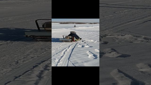 детский снегокат с двигателем от триммера смотреть онлайн