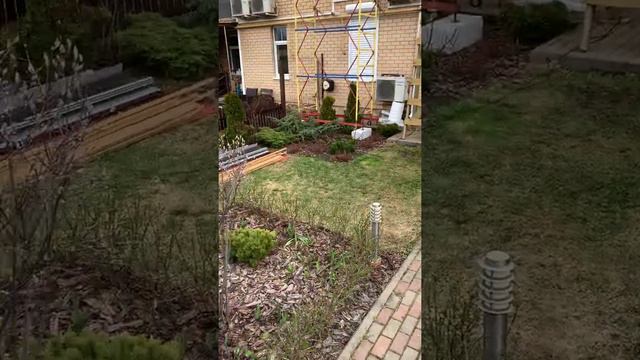 Отдам почти ДАРОМ смотреть онлайн