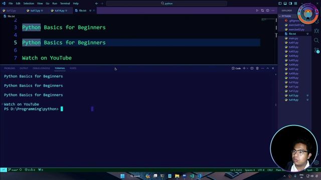 Python File - open() and close() functions - Python Basics for Beginners #15 смотреть онлайн