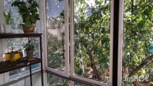 Зимний сад. Нюансы.