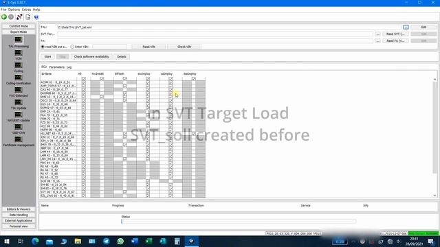 BMW E-SYS ECU's Flashing Guide Tutorial смотреть онлайн