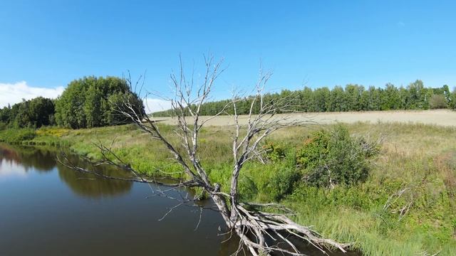 DJI FPV - Настасьино-хуторок смотреть онлайн