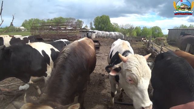 ТО Минитрактора. Посадка картофеля возле дома (2 день ) смотреть онлайн