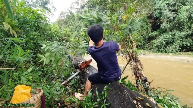 The boy who crossed the flood water to cut wood to prepare a new house - Ep1 смотреть онлайн