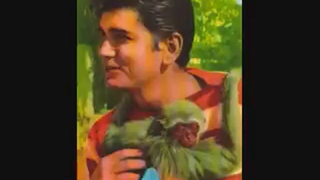Michael Landon - Gimme A Little Kiss (Will Ya Huh) (1957) смотреть онлайн