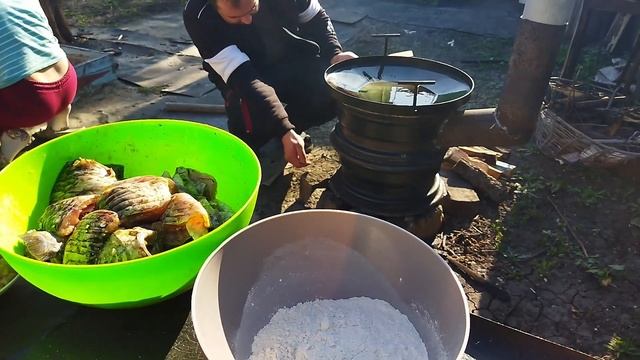 КАРАСИ на сковородке САДЖ с луком, морковью, томатным соком. Лучший РЕЦЕПТ для жарки КАРАСЕЙ. смотреть онлайн