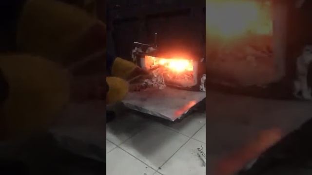 Усыпление собак смотреть онлайн