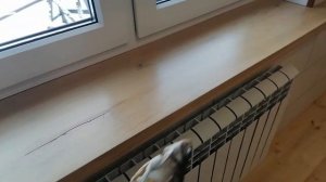 4 вида деревянных подоконников. Подоконники из дерева.  Чем  лучше покрыть деревянный подоконник.