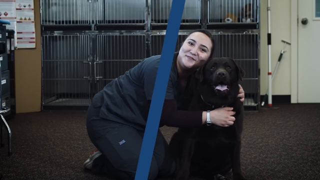 Your Future Begins Now L Western Colorado Community College