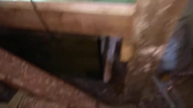 Запустил своих скалярий