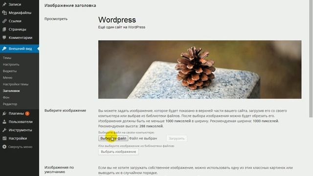 WORDPRESS ВИДЕОКУРС "Урок №17 Внешний вид" смотреть онлайн