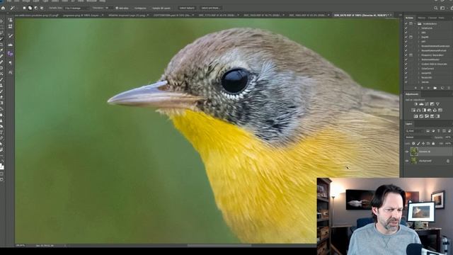 Topaz Denoise AI, Comparing 
