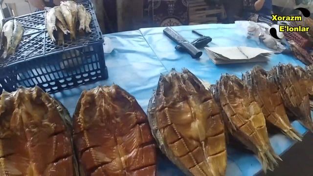 ХОРАЗМ УРГАНЧ ДЕХКОН БОЗОРИ \ URGANCH DEHQON BOZORI #xorazm