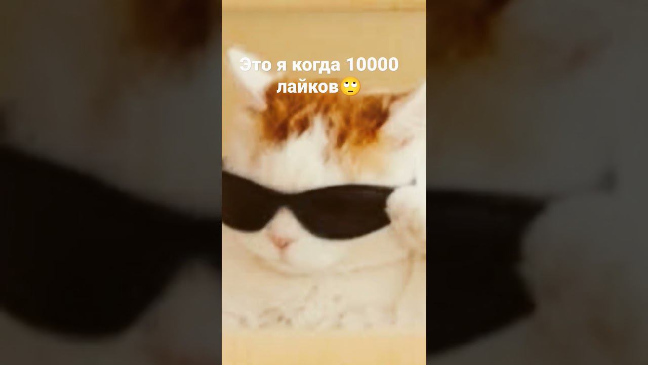 31 октября 2022 г. смотреть онлайн