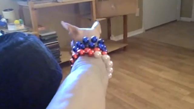 A Sphynx Called Butterball Ep 52 The Half Bald Monkey Cat 3 смотреть онлайн