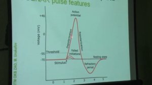 Доклад «СКЭНАР» и секреты эффективности». Часть 1.