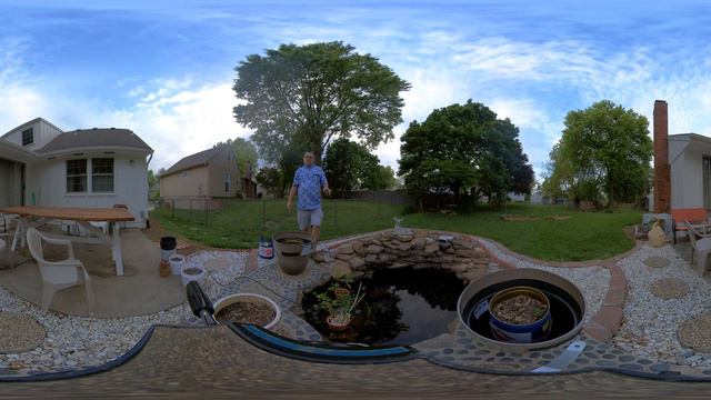 360 video clear pond смотреть онлайн