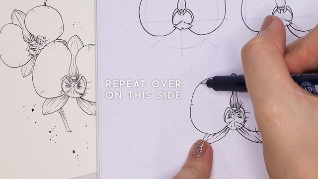 How To Draw Orchids Like The Oracle ✨ смотреть онлайн