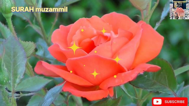 SURAH Muzammil Mashallah Beautiful Tilawatat Quran Recitation Best Voice