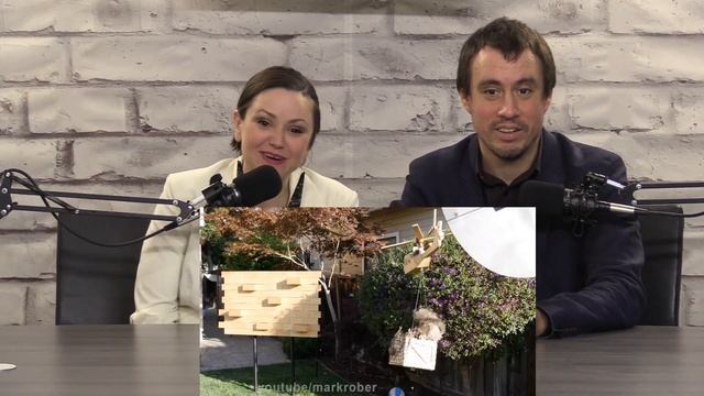 Backyard Squirrel Maze 2.0 The Walnut Heist by Mark Rober | Chicago Crew Reacts смотреть онлайн