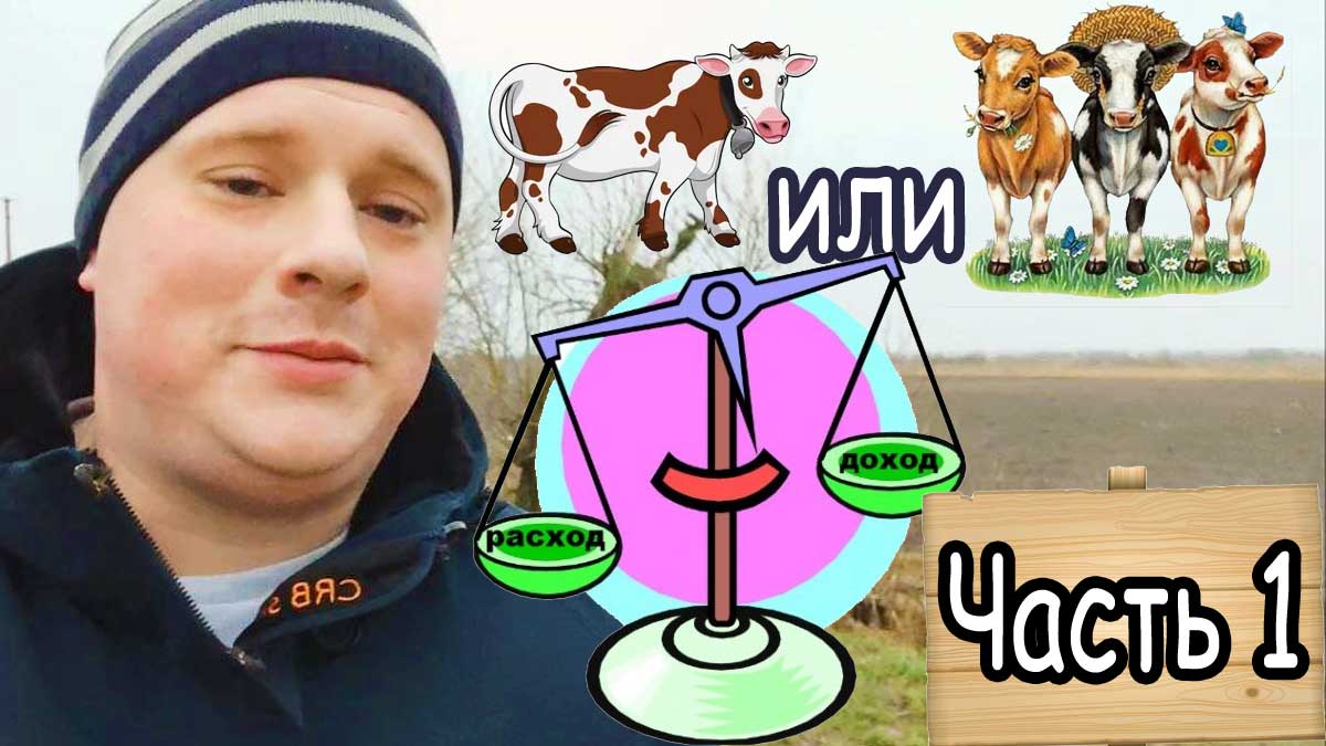 Часть 1 Почему не стоит держать только одну корову? / Куда девать молоко/ Расходы и доходы от продаж