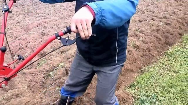 Мотоблок МТЗ Беларус-09Н . Вспашка сидератов. смотреть онлайн