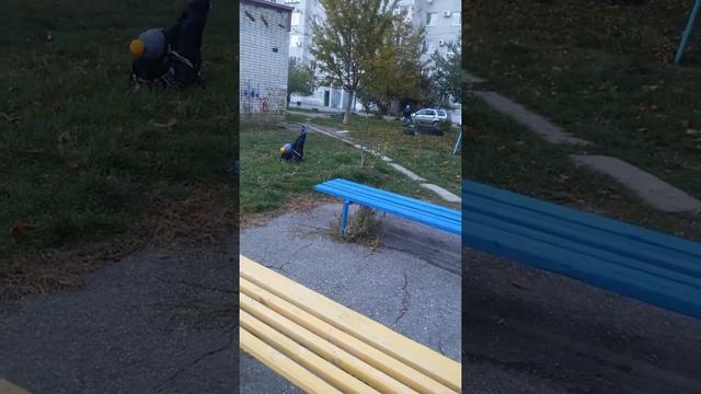 Играем во дворе смотреть онлайн