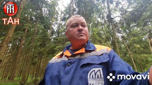 В лес, по "грибы".На мотоблоке, мотор сич. 21.06.22г. смотреть онлайн