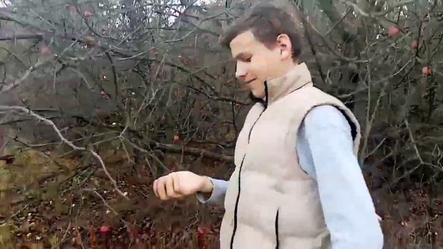 😱 ОБЗОР НА ОДНОЗВЁЗДОЧНЫЙ ОТЕЛЬ😱 смотреть онлайн
