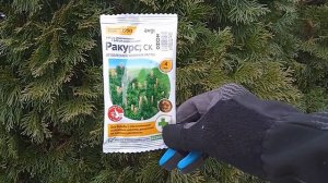 Хвойные весной. Опрыскивание. ПОДКОРМКИ. Полив. ОБРЕЗКА. Домашние питомцы. РЫХЛЕНИЕ. Очистка