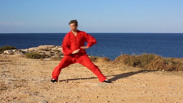 Разучиваем 1-ю форму Тайцзи, стиль Чень - шаги 2, 3, 4, 5 смотреть онлайн