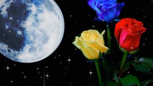 Спокойной  Ночи! Засыпайте в Мире, просыпайтесь в Радости! Доброй вам Ночи и светлого Завтра!???.