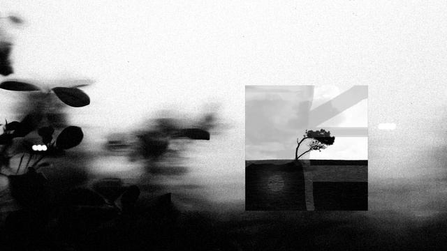 Undyed - Acacia (Byona Mix)