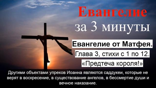 #003 Предтеча короля! (Матфея 3:1-12) | Евангелие за 3 минуты смотреть онлайн