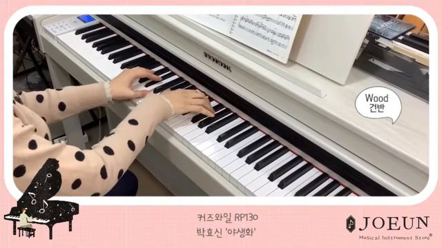커즈와일 RP130 1분 연주영상 - 박효신 '야생화' KURZWEIL WOOD 건반 смотреть онлайн